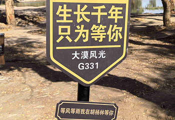 额济纳胡杨林旅游区第 72 张图片