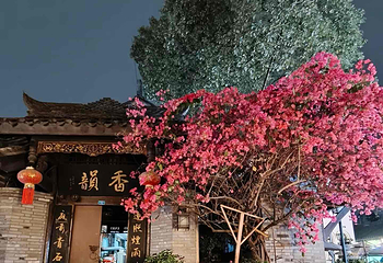 宽窄巷子第 163 张图片