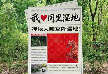 同里国家湿地公园第 48 张图片