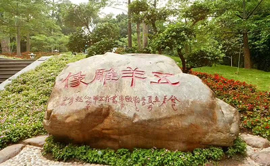 越秀公园第 212 张图片
