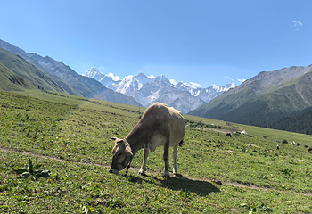 夏塔旅游景区第 21 张图片