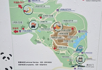 成都大熊猫繁育研究基地第 777 张图片