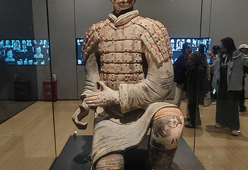 秦始皇帝陵博物院(兵马俑)第 254 张图片