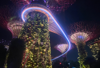 新加坡滨海湾花园第 280 张图片