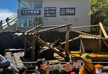登别熊牧场第 18 张图片