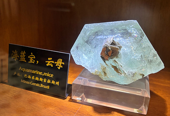 青岛德国总督楼旧址博物馆第 92 张图片