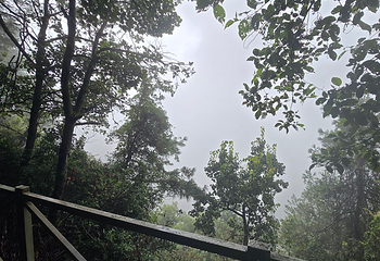 苍山第 228 张图片