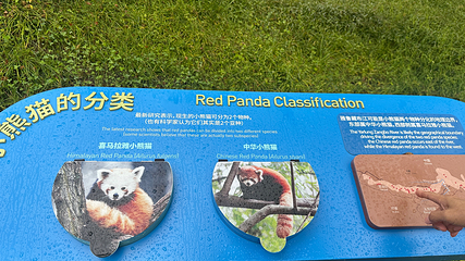 成都大熊猫繁育研究基地第 132 张图片