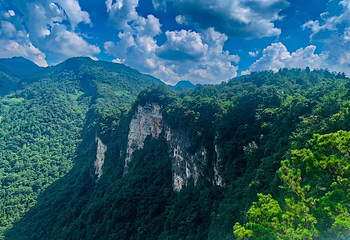 张家界大峡谷第 38 张图片