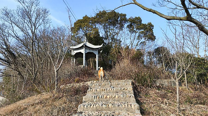 岱山海岛公园第 1 张图片