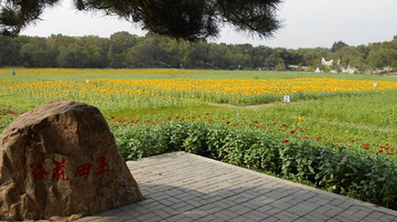 北陵公园-玉田花谷