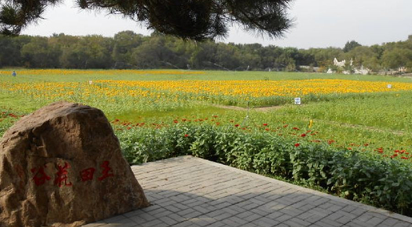 北陵公园-玉田花谷