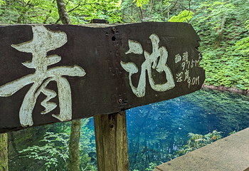 青池第 12 张图片