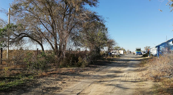 Pitomnik Dekorativnykh Rasteniy