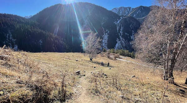 Waterfall Maiden's Braids