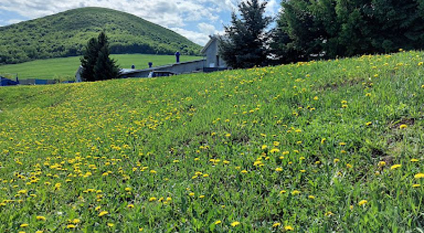 Konno-Sportivnyy Klub 