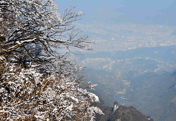 天门山国家森林公园第 407 张图片