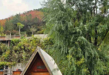 九如山休闲旅游度假区第 189 张图片