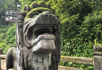 青城山第 202 张图片