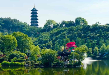 重庆园博园第 64 张图片
