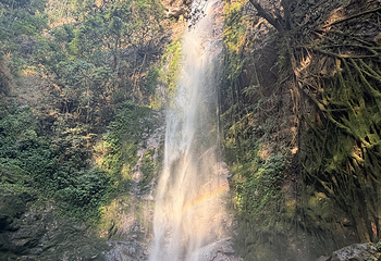 莫里热带雨林景区第 18 张图片