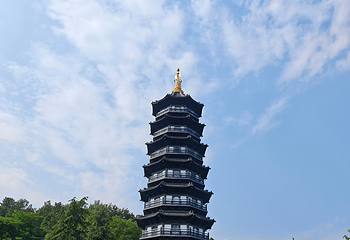 重庆园博园第 33 张图片
