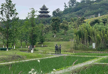 李庄文化旅游度假区第 52 张图片
