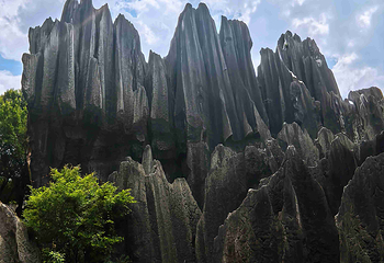 石林风景区第 173 张图片
