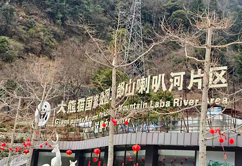 二郎山喇叭河风景区第 142 张图片