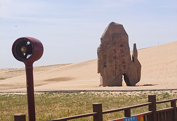 沙湖生态旅游区第 139 张图片