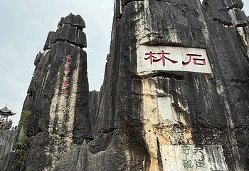 石林风景区第 269 张图片