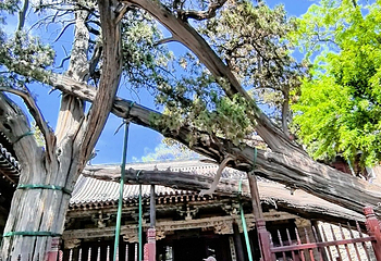 晋祠博物馆第 234 张图片