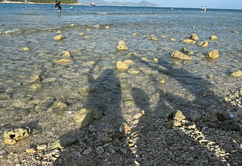 小东海第 85 张图片
