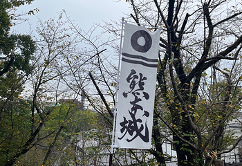 熊本城第 25 张图片
