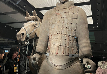 秦始皇帝陵博物院(兵马俑)第 506 张图片