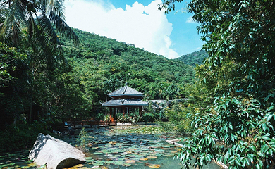 亚龙湾热带天堂森林公园第 104 张图片