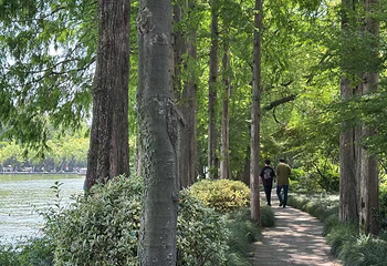 西湖风景名胜区第 288 张图片