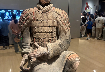 秦始皇帝陵博物院(兵马俑)第 318 张图片