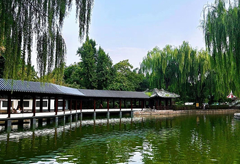 团结湖公园第 103 张图片