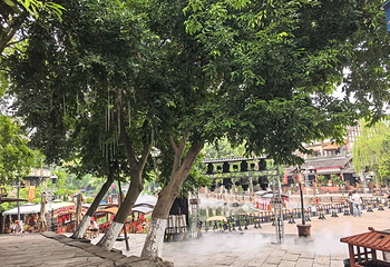 黄龙溪古镇第 88 张图片