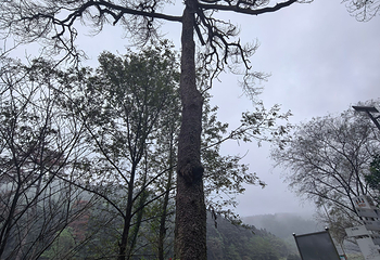阁皂山风景名胜区第 19 张图片