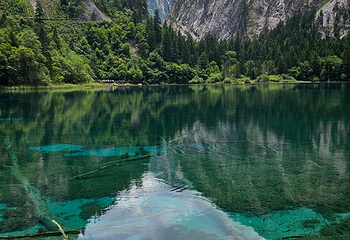 九寨沟风景区第 796 张图片