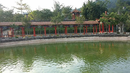百鸟乐园第 23 张图片