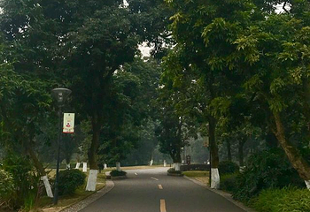 张坝桂圆林旅游区第 18 张图片