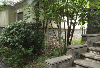 临潼悦椿温泉第 68 张图片
