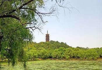 天下玉苑第 16 张图片