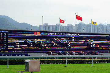 沙田马场第 46 张图片