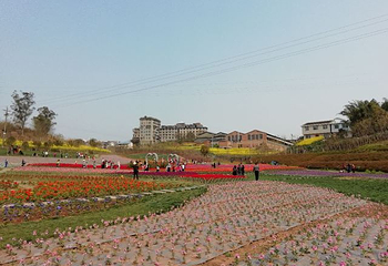 观音湖第 58 张图片