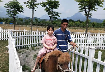 彭州通济花海露营公园第 27 张图片