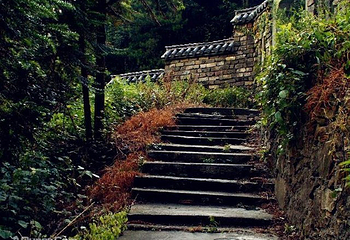 石台古徽道第 17 张图片